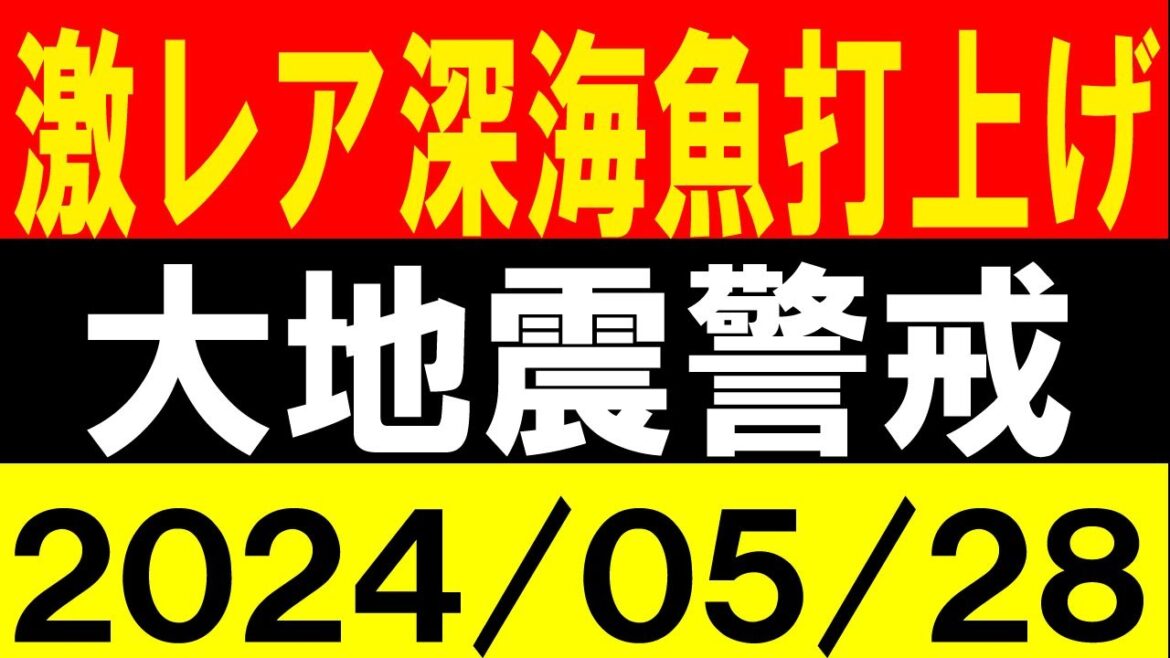 激レア深海魚打ち上げ！大地震警戒！地震研究家 レッサー