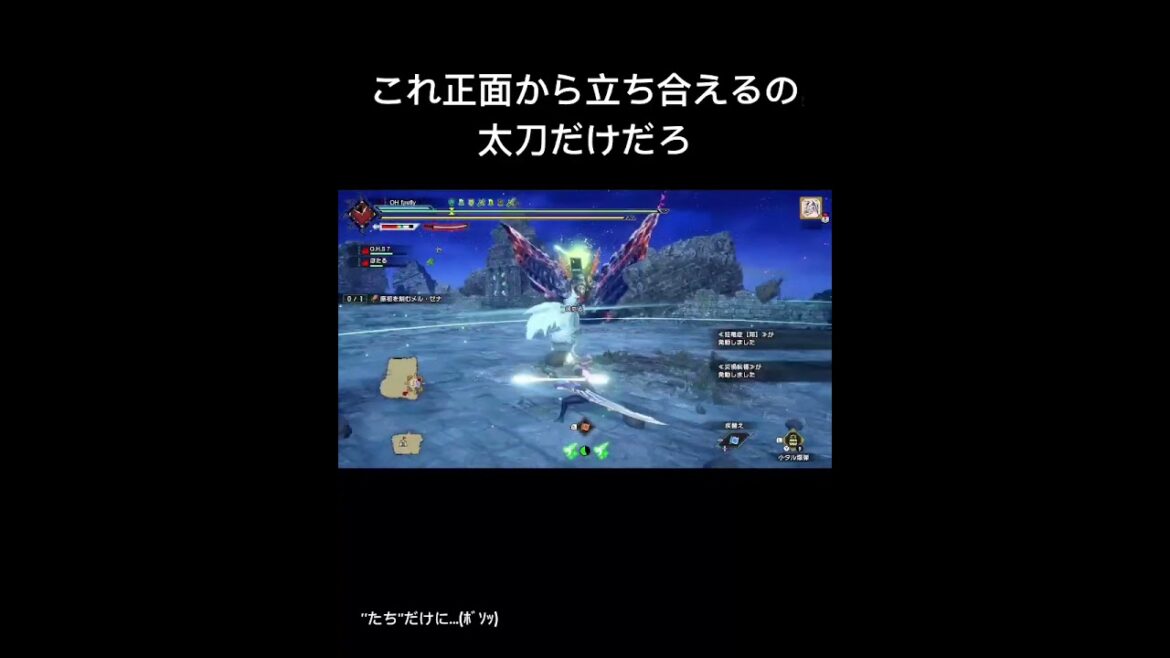 【モンハンサンブレイク】こいつに立ち合えるの太刀だけだろ