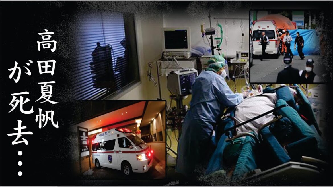 高田夏帆を殺害した犯人の現在…