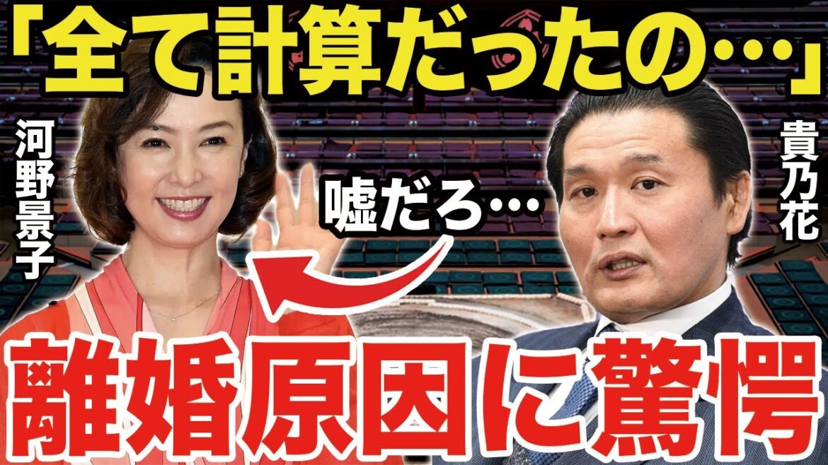 【大相撲】貴乃花と河野景子(元妻)の離婚理由の闇が深すぎる、女将時代の悪い噂の真相は...