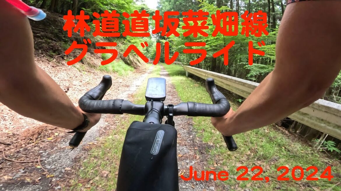 【山梨県道志村】林道道坂菜畑線グラベルライド 4K