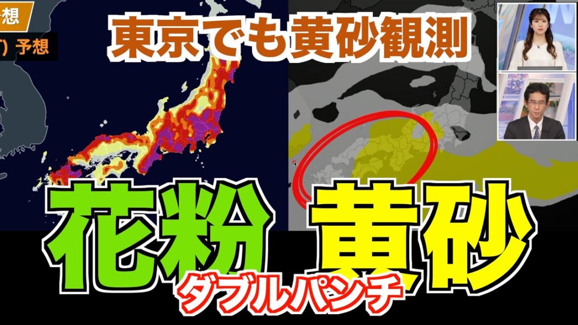 【東京でも黄砂観測】花粉と黄砂のダブルパンチに対策を