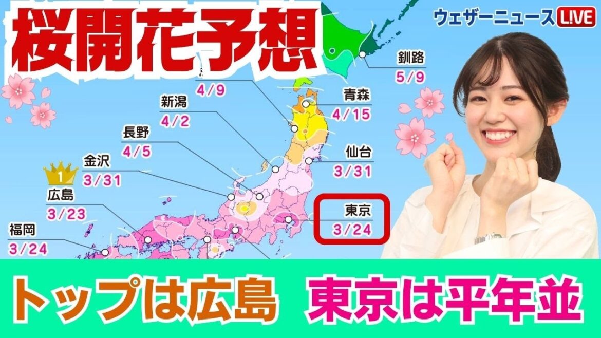 【2024年 第七回桜開花予想】トップは広島で3/23、東京は3/24（速報版）