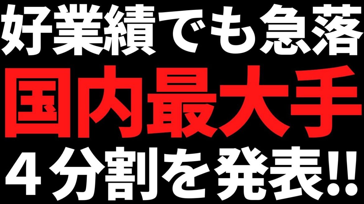 あの好業績なのに株価22％急落中の国内最大手が4分割で買いやすく