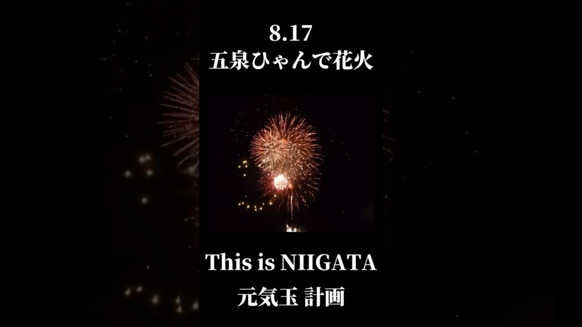 ひゃんで花火楽しみにしてて下さい！　#ディスイズ新潟 #新潟県