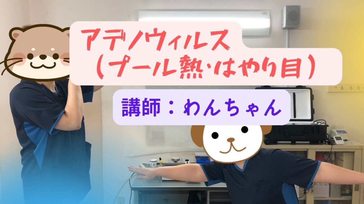 アデノウィルス　プール熱・はやり目