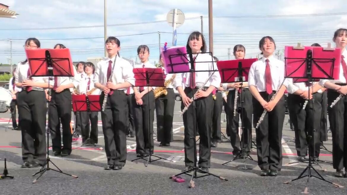 アンコールはこれ/野球応援メドレー＊木総第106回夏大頑張れ2024/6/22