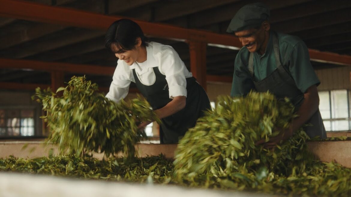 キリン 午後の紅茶　「紅茶の聖地」篇　60秒