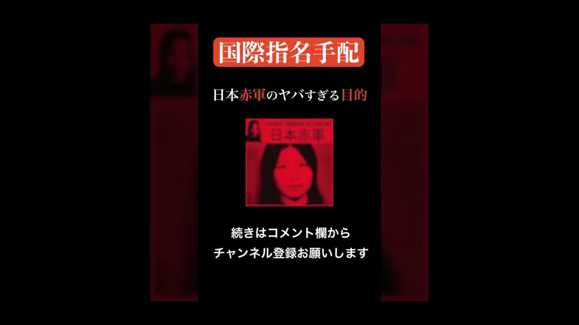 ヤバすぎるテロ組織「日本赤軍」＃たっくーtv #都市伝説＃雑学＃未解決事件