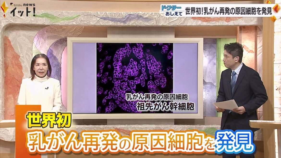世界初！乳がん再発の原因細胞を発見　発見した研究グループの金沢大・後藤教授が解説（ドクターおしえて）