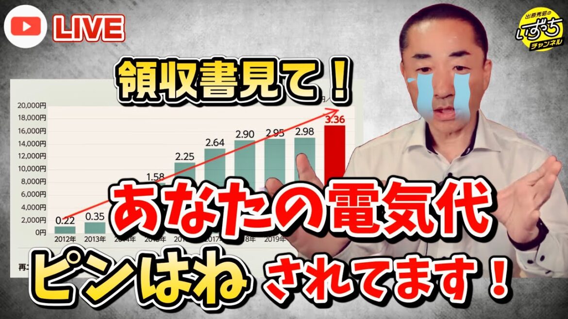再エネ賦課金は中国に流れている！上海電力の問題