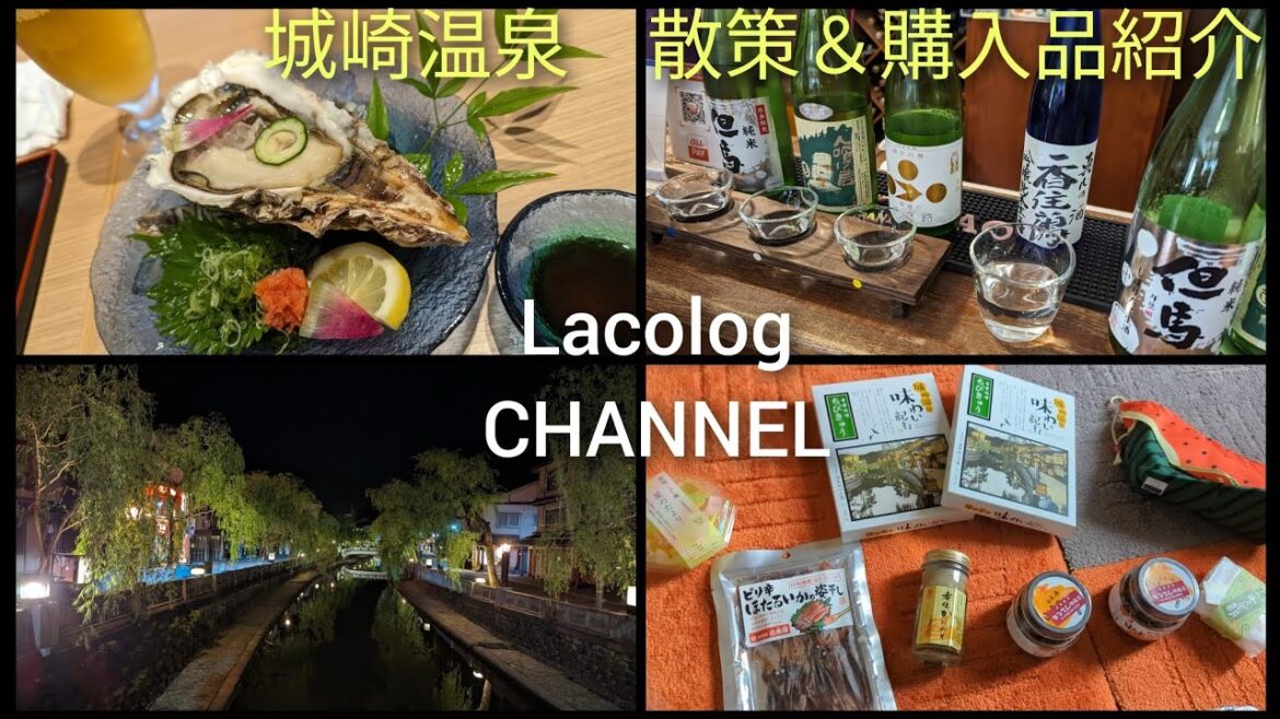 城崎温泉旅行〜散策＆購入品紹介＆立ち寄りSA〜 Kinosaki Onsen area