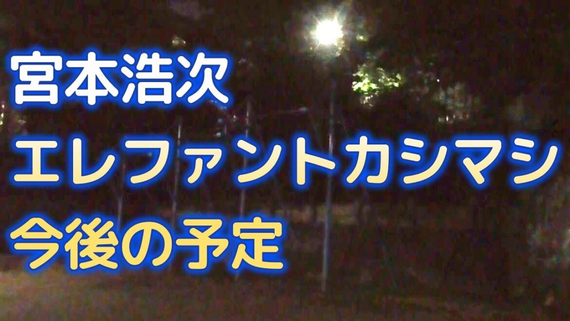 宮本浩次　エレファントカシマシ　今後の予定