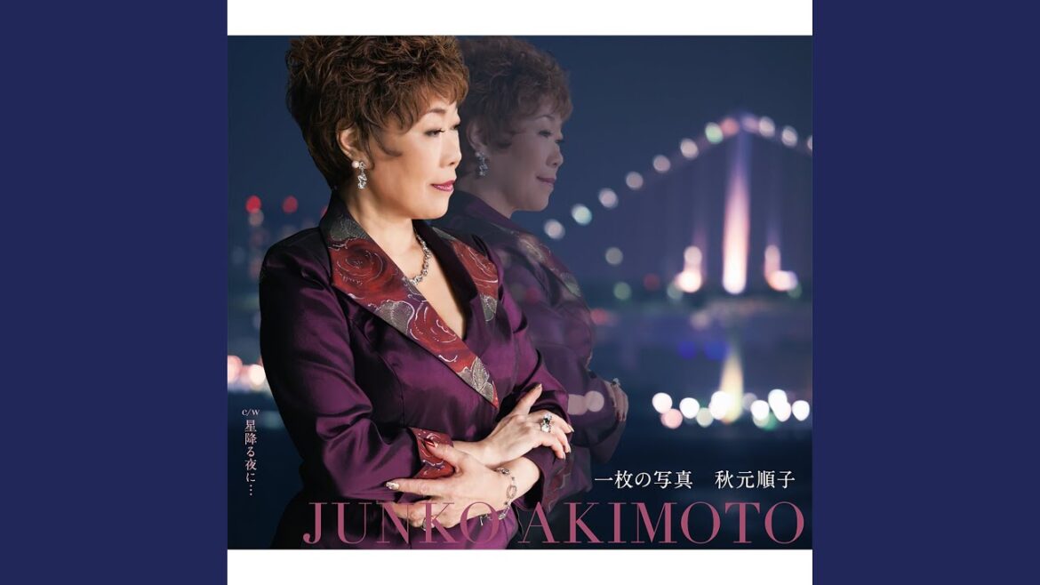 星降る夜に…