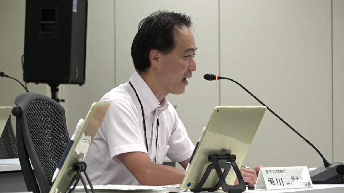 第17回原子炉安全基本部会・第11回核燃料安全基本部会(2024年06月28日)