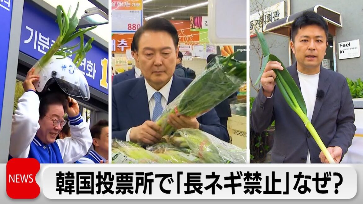 10日韓国総選挙　「長ネギ禁止」なぜ？（2024年4月9日）