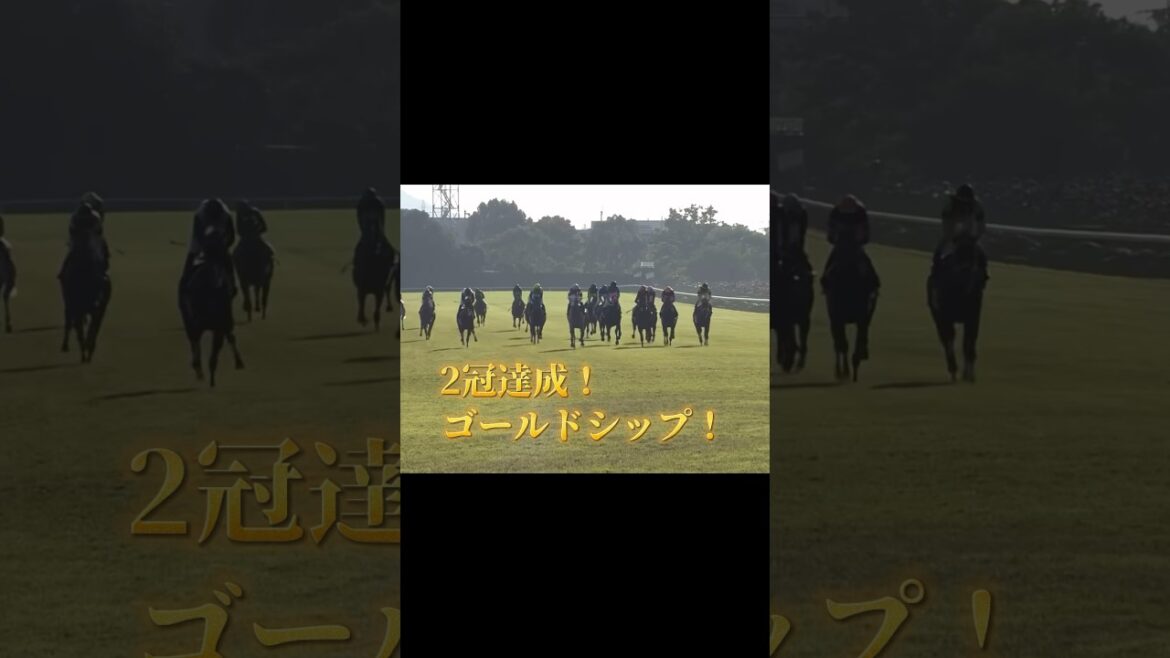 2冠達成ゴールドシップ！#競馬 #競馬予想 #菊花賞 #ゴールドシップ