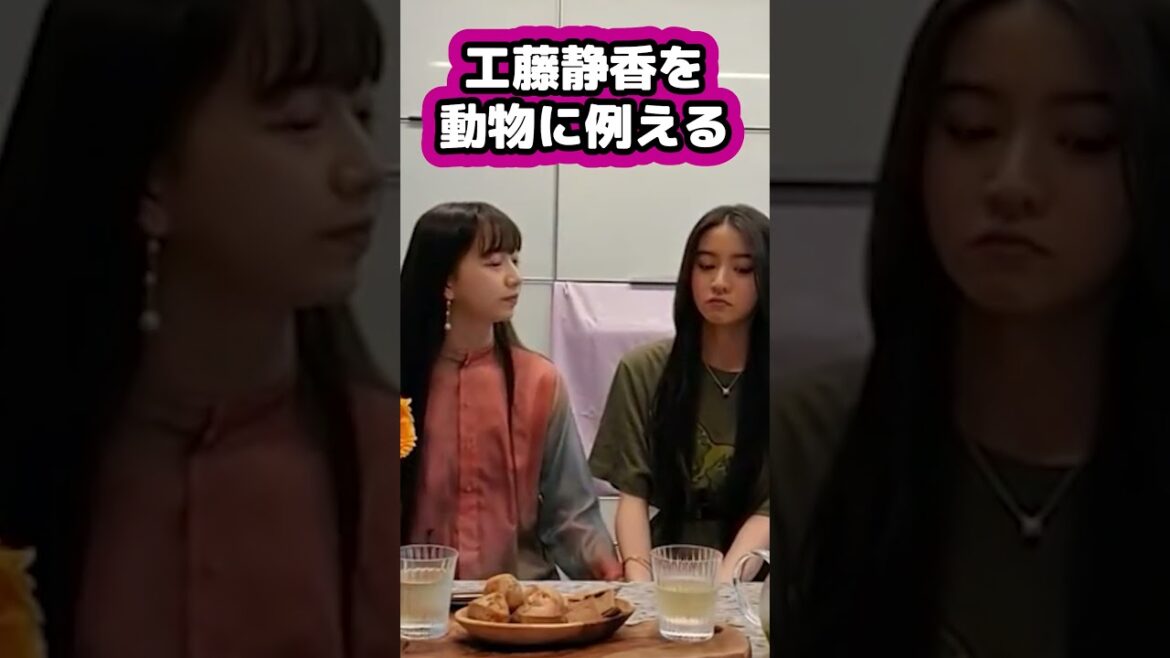 【キムタク娘】工藤静香を動物に例えると #cocomi #koki #キムタク #娘 #工藤静香 #Shorts