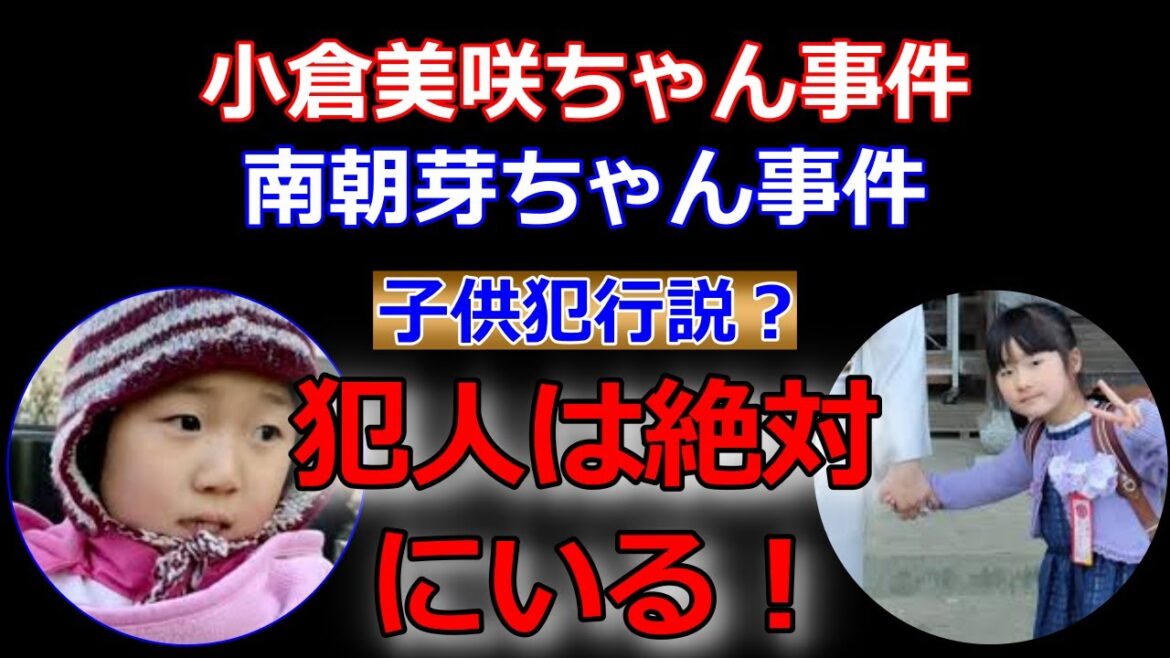 小倉美咲ちゃん事件・南朝芽ちゃん事件【新しい滑落ルート発見！！】犯人は同一人物の可能性？山梨県道志村キャンプ場失踪事件・松戸女児失踪事件