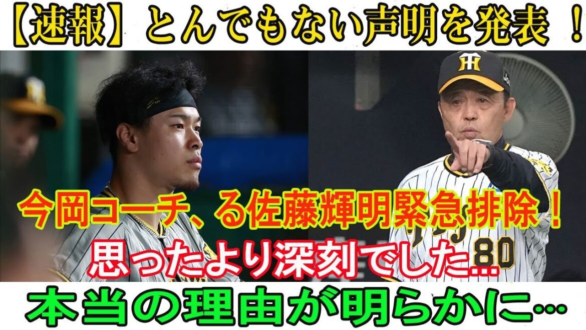 【速報】とんでもない声明を発表 !今岡コーチ、る佐藤輝明緊急排除 ! 思ったより深刻でした...今岡真訪コーチが放った意味深発言が怖い「佐藤は完全なる●●●だろうね」