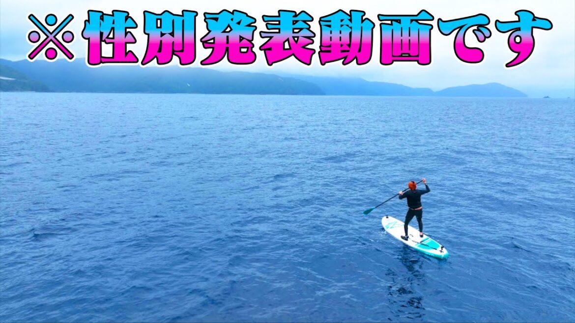 無人島からサップで脱出できたら我が子の性別が判明！！！するはずだった。