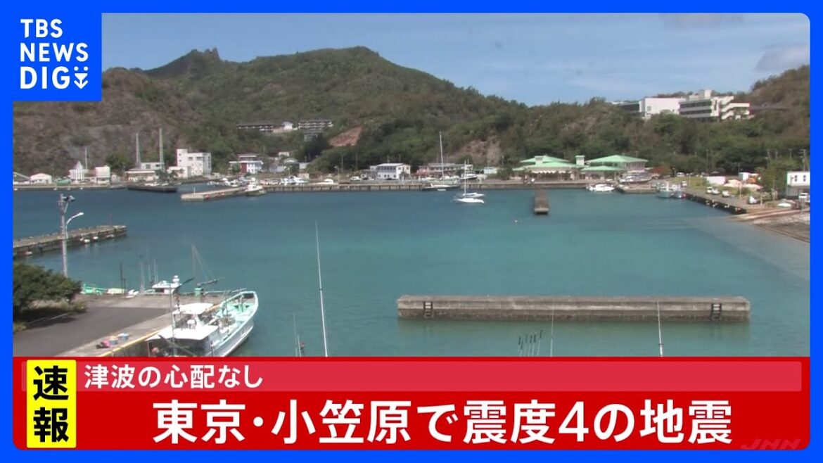 小笠原で震度4のやや強い地震 津波の心配なし 推定マグニチュードは6.0|TBS NEWS DIG 小笠原で震度4のやや強い地震 津波の心配なし 推定マグニチュードは6.0|TBS NEWS DIG