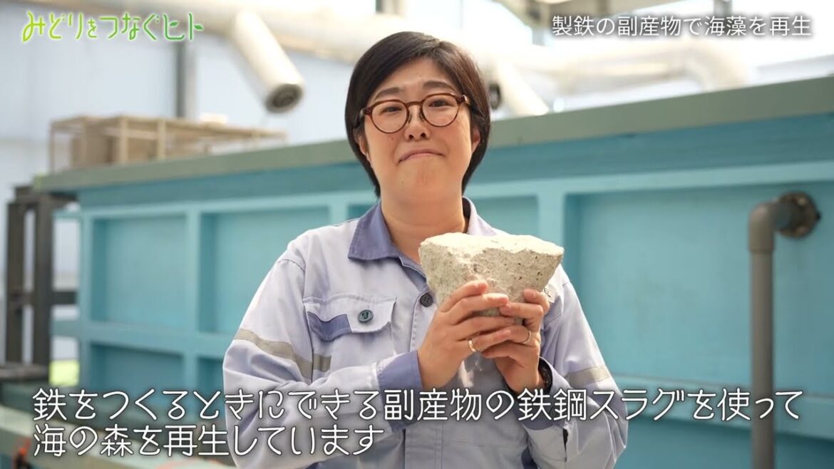 みどりをつなぐヒト#87 製鉄の副産物で海の森を再生 日本製鉄 小杉知佳 みどりをつなぐヒト#87 製鉄の副産物で海の森を再生 日本製鉄 小杉知佳