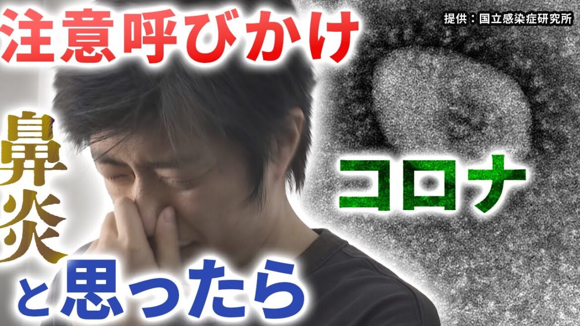 コロナ増加傾向 風邪か鼻炎か?見分けられず 自己負担が重く検査を拒む人も増加 コロナ増加傾向 風邪か鼻炎か?見分けられず 自己負担が重く検査を拒む人も増加