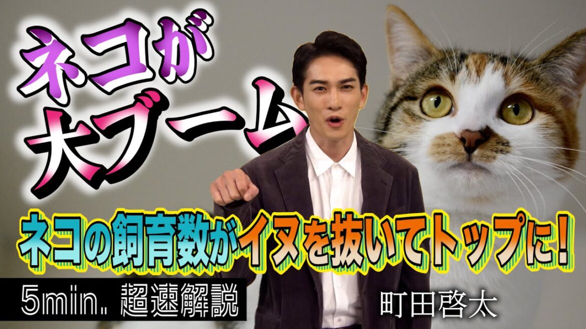 [超定義] 町田啓太が5分神解説！空前のネコブームの秘密とは？| NHK