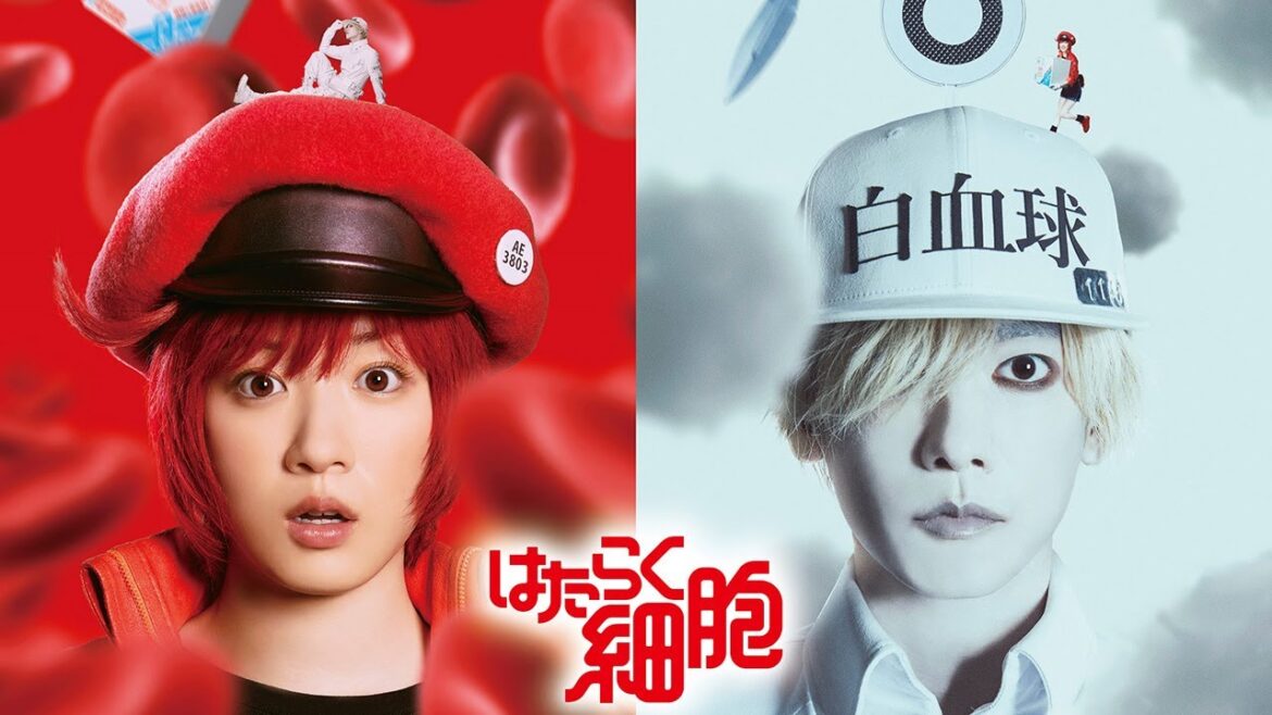 “白血球”佐藤健が華麗なアクション披露！永野芽郁は赤血球に　映画「はたらく細胞」特報映像が公開