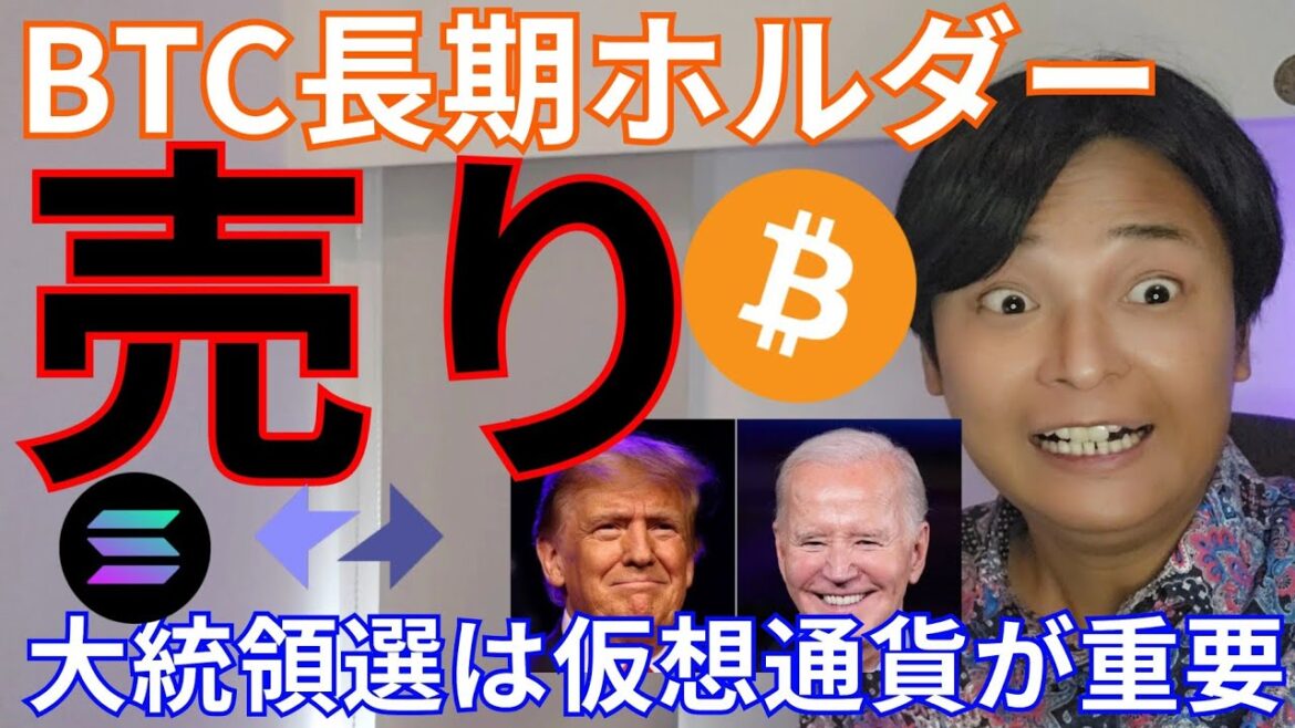 【ビットコイン長期ホルダー大量売り】ヤバい？仮想通貨は米大統領選で重要に