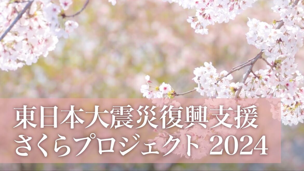 東日本大震災復興支援　さくらプロジェクト 2024