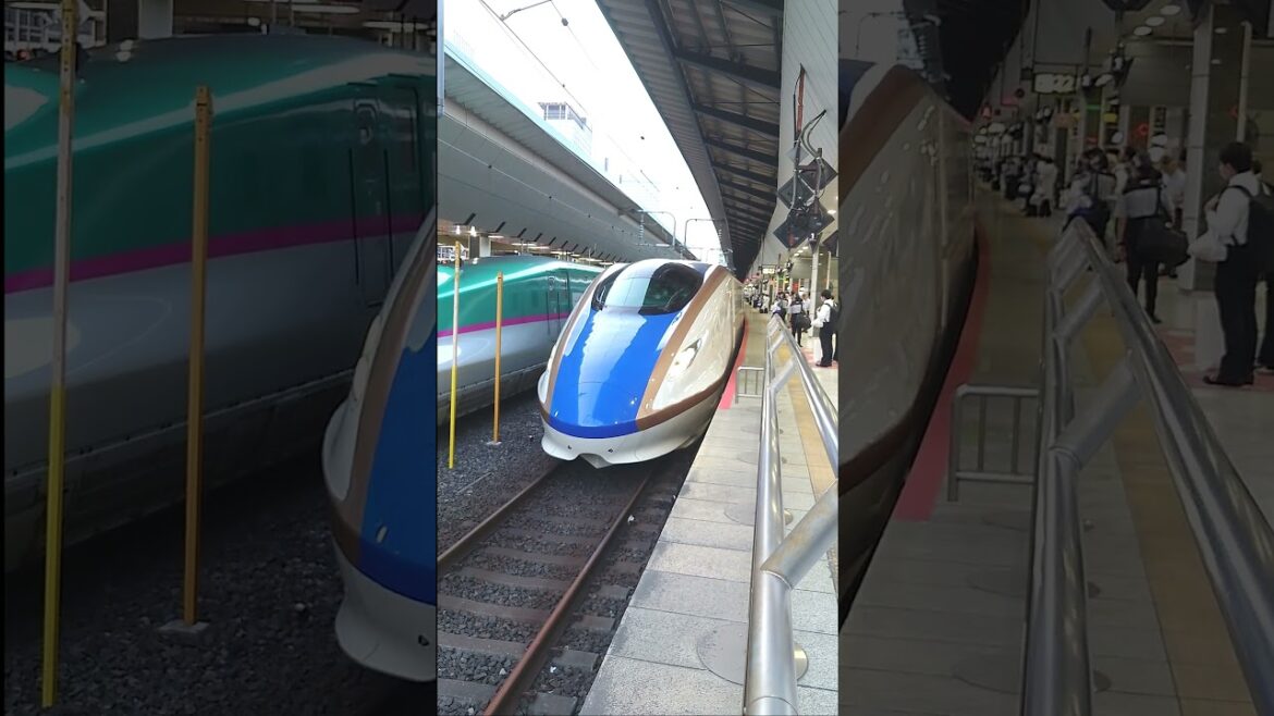 【上越新幹線】東京駅・たにがわ優雅に入線！ #short#新幹線#上越#上越新幹線#運行情報#運行状況#JR#たにがわ#運行#状況#東京#東京駅#鉄道#電車#乗り鉄#撮り鉄#入線#出発#圧巻