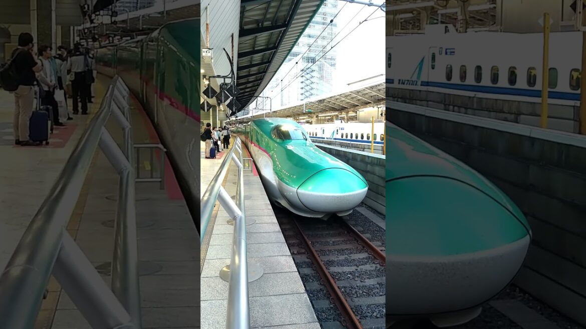 【東北新幹線】東京駅・はやぶさ優雅に入線！ #short#新幹線#東北#東北新幹線#運行情報#運行状況#JR#はやぶさ#運行#状況#東京#東京駅#鉄道#電車#乗り鉄#撮り鉄#入線#出発#圧巻#優雅