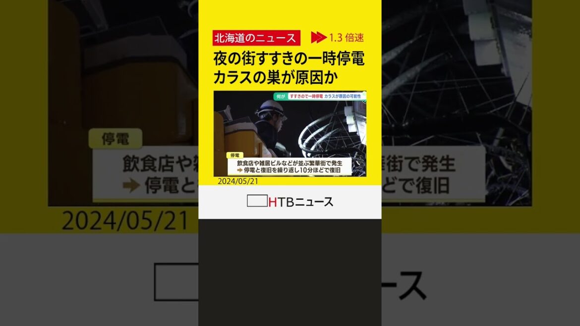 すすきので一時約100戸停電 電柱からカラスの巣見つかる 停電との関連調査 札幌 #shorts すすきので一時約100戸停電 電柱からカラスの巣見つかる 停電との関連調査 札幌 #shorts