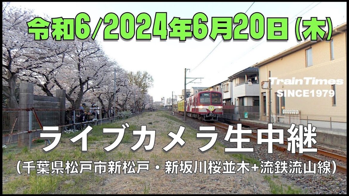 【☆ライブカメラ】臨時ライブカメラ生中継／千葉県松戸市新坂川桜並木／2024年6月21日【桜並木・流鉄流山線リアルタイム配信・ライブトーク兼用】【地震記録】