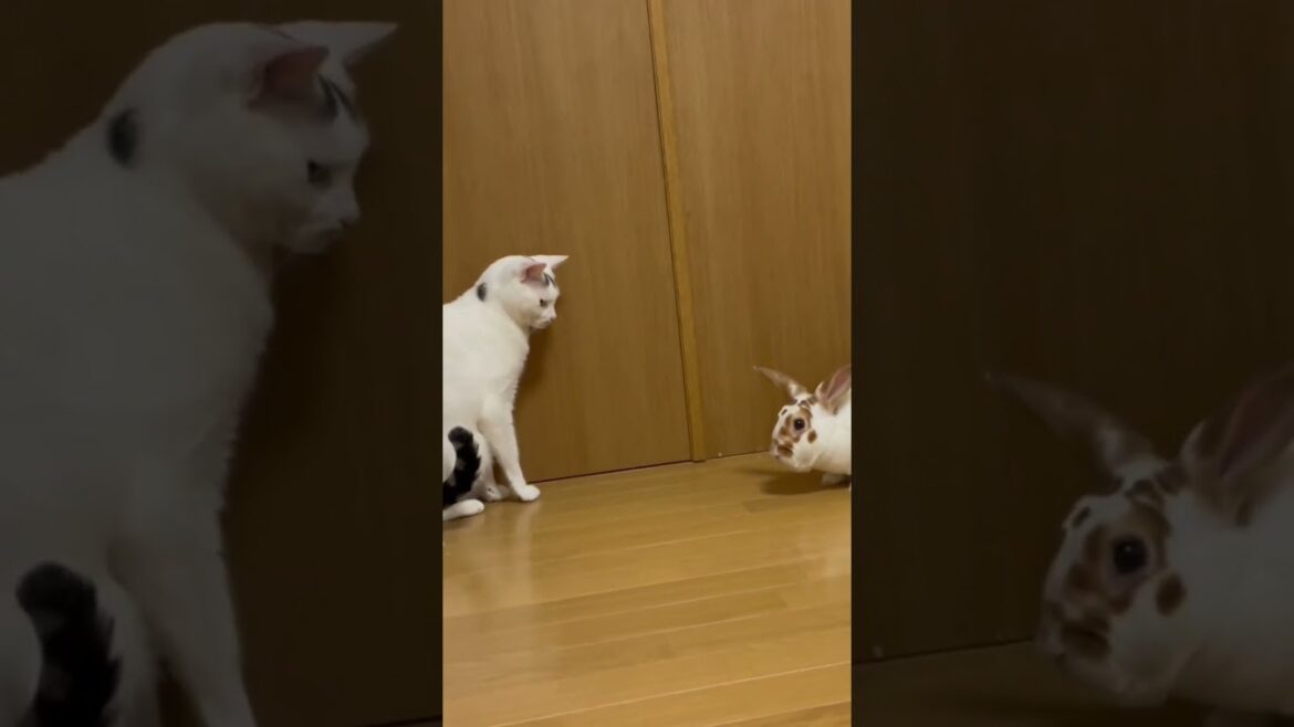 時は奏でて想いは溢れる