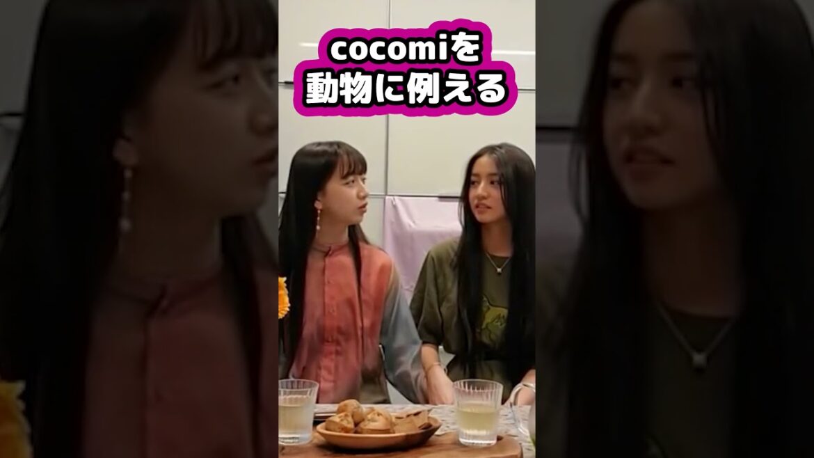 【キムタク娘】cocomiを動物に例えると #cocomi #koki #キムタク #娘 #工藤静香 #Shorts