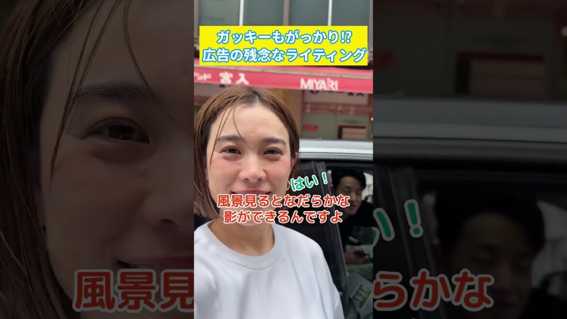 ガッキーの広告がエグい！ #新垣結衣 #広告 #写真 #雪肌精