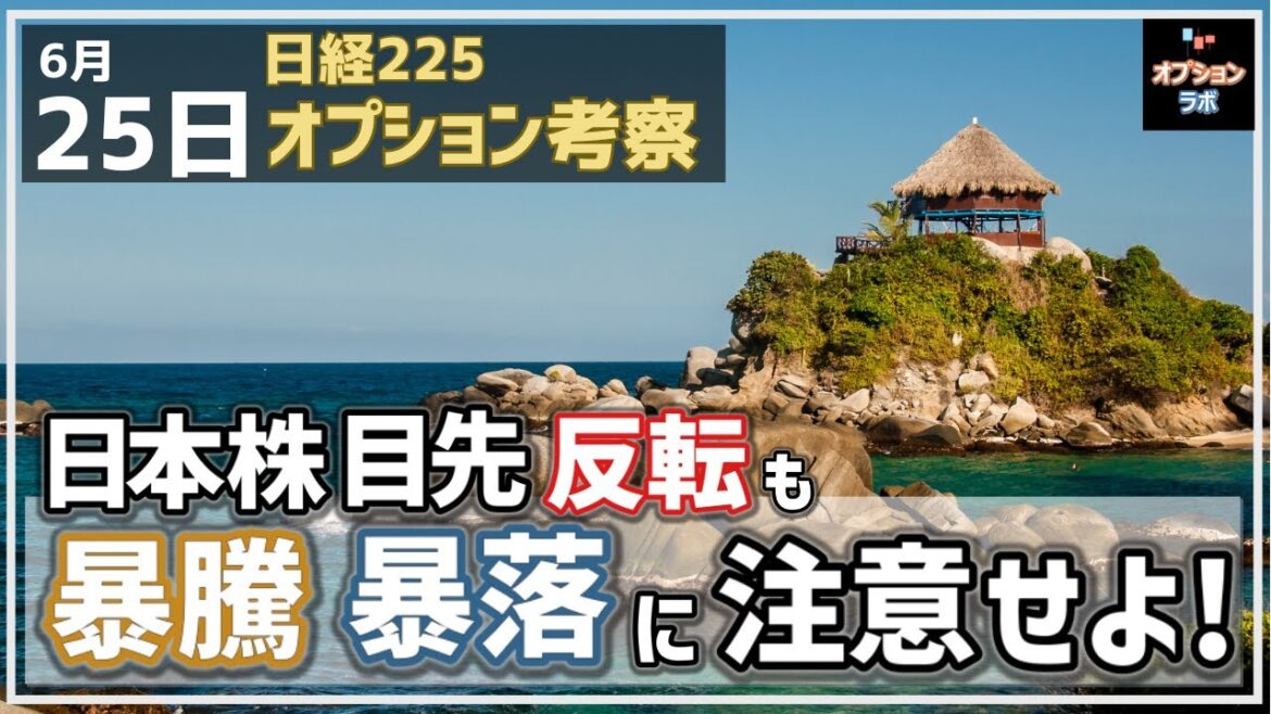 【日経225オプション考察】6/25 日本株 目先反転も、暴騰・暴落展開に注意せよ! 【日経225オプション考察】6/25 日本株 目先反転も、暴騰・暴落展開に注意せよ!