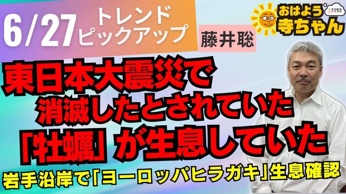 『 #東日本大震災 で消滅したとされていた「 #牡蠣 」が生息していた！』 6月27日(水)  #おはよう寺ちゃん  トレンドピックアップ 森永康平(経済アナリスト)