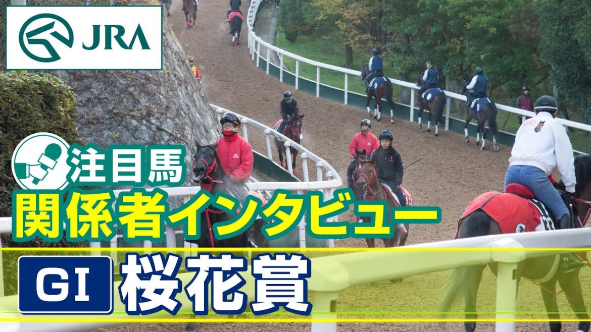 【注目馬 関係者インタビュー】2024年 桜花賞｜JRA公式
