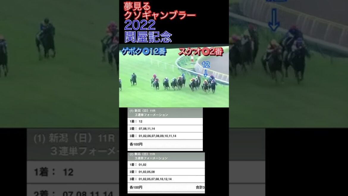 2022 関屋記念【競馬】@user-nq4lr7ky2s