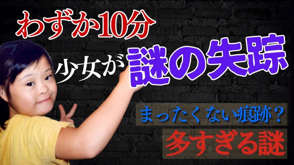 【未解決事件】わずか10分　不可解すぎる謎の失踪【ひるがの高原キャンプ場女児不明事件】