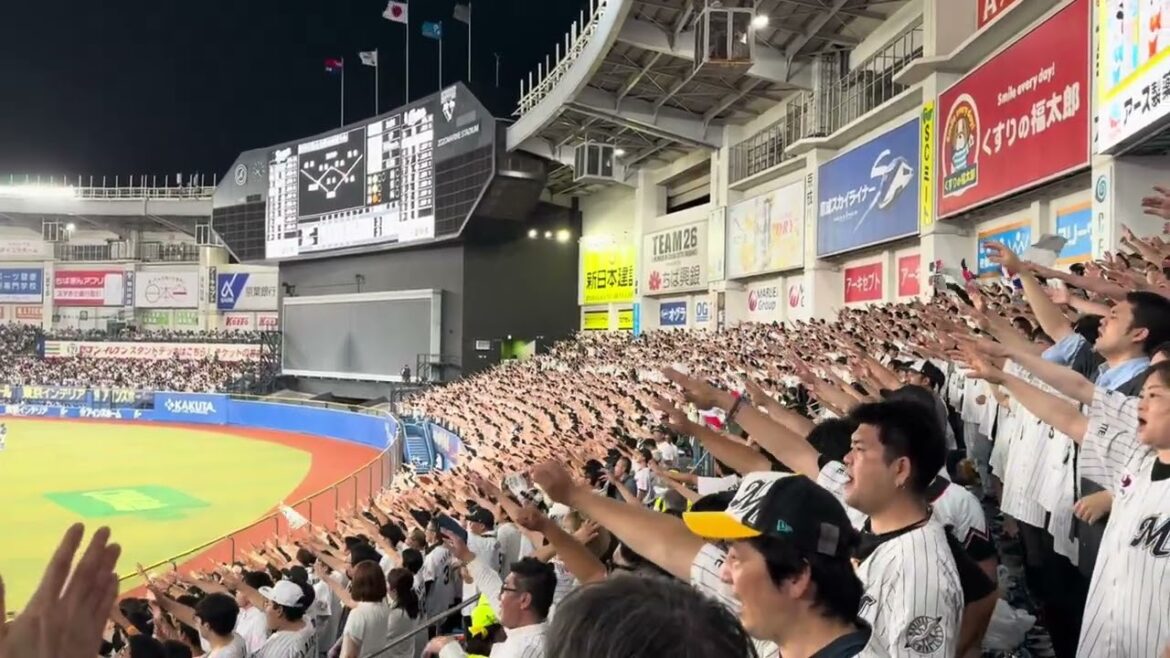 ポランコ 応援歌→カリステ落球 2024/6/14 ロッテ vs ドラゴンズ #chibalotte ポランコ 応援歌→カリステ落球 2024/6/14 ロッテ vs ドラゴンズ #chibalotte