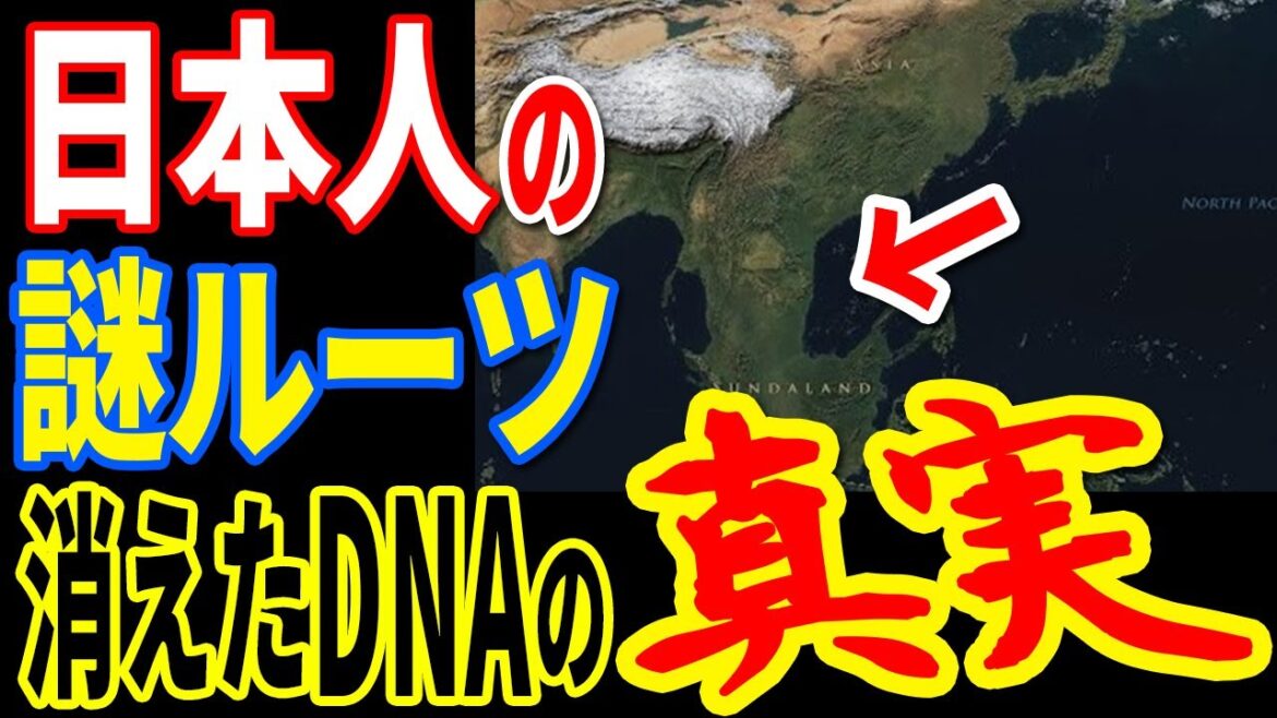 日本人の起源と謎の大陸の存在が明らかになりました…人類史に消されたDNAが暴く歴史と常識を覆す驚愕の事実とは【ぞくぞく】【ミステリー】【都市伝説】