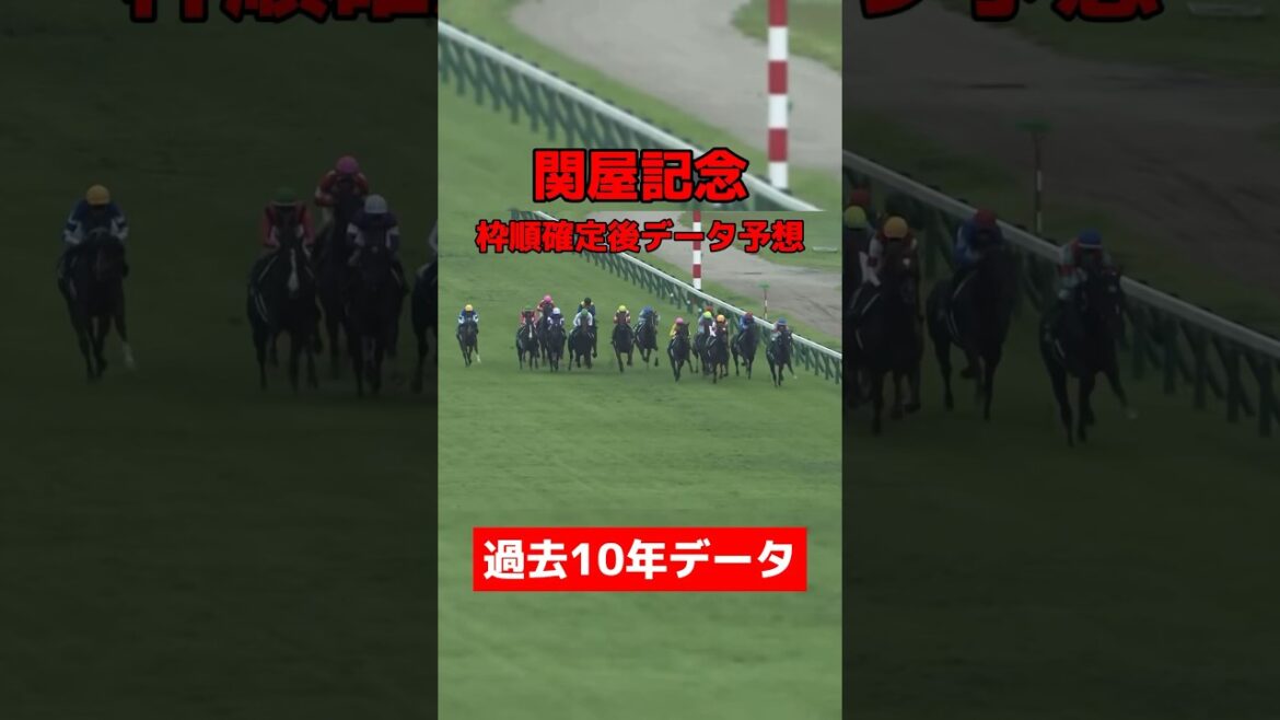 関屋記念枠順確定後データ予想 #競馬 #競馬予想 #データ予想 #関屋記念