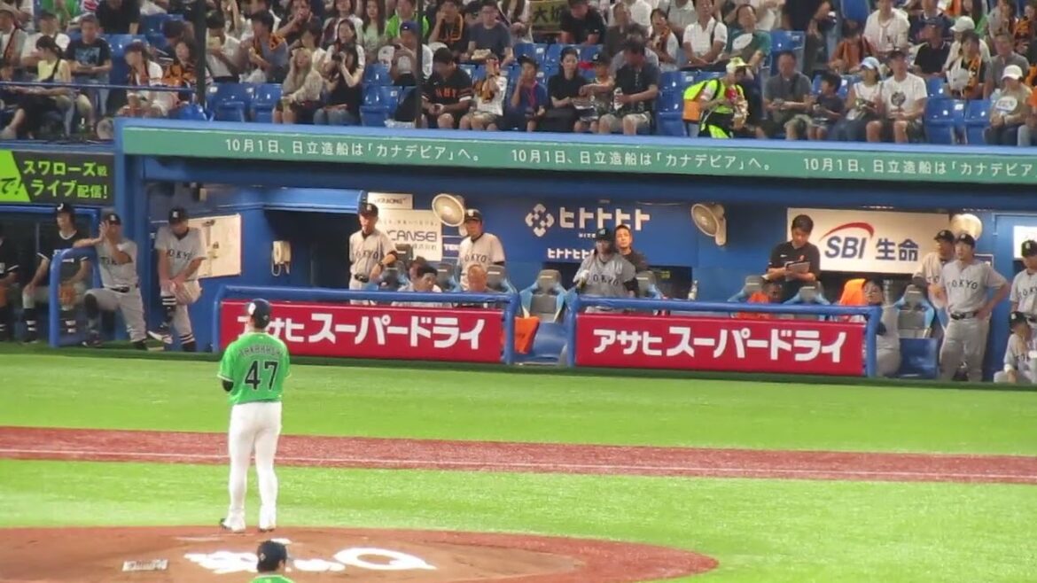 【ジャイアンツベンチ】大城卓三 四球で拍手する丸佳浩や長野久義（ヤクルトスワローズ対 読売ジャイアンツ 2024年7月6日）