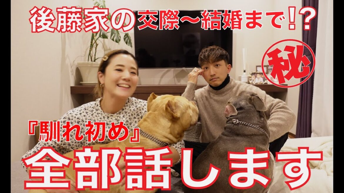 【全部話します】交際から結婚まで。アメリカンピットブルとの出会い【馴れ初め】