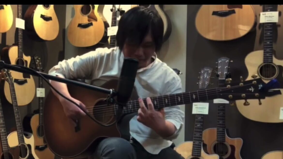 【#切り抜き その1】 SPLASH / 押尾コータロー (Cover / Short Version)